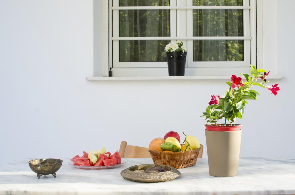 Garden House Palaio Faliro Atina Dış mekan fotoğraf
